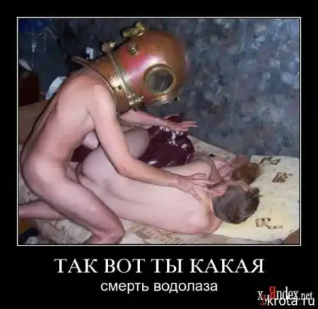 веселые картинки