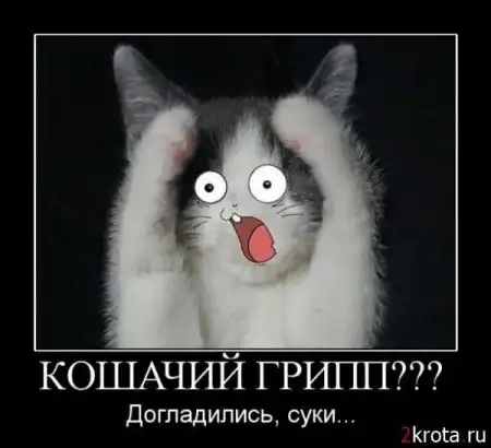 веселые картинки