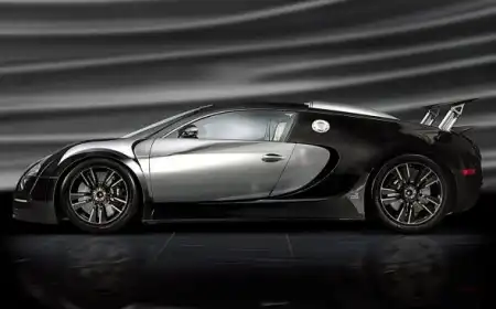 Mansory Bugatti Veyron Vincero