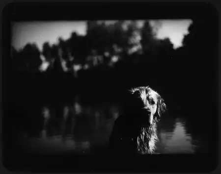 Giacomo Brunelli [фотография]