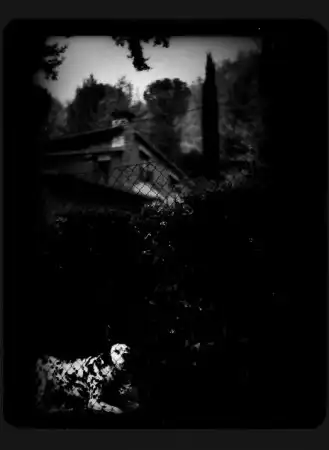 Giacomo Brunelli [фотография]