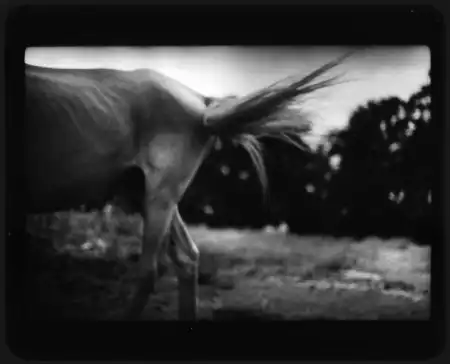 Giacomo Brunelli [фотография]