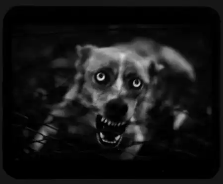 Giacomo Brunelli [фотография]