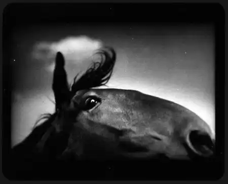 Giacomo Brunelli [фотография]