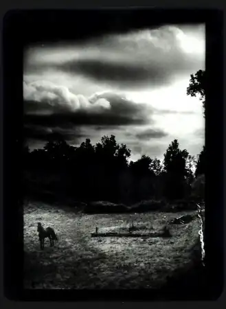 Giacomo Brunelli [фотография]