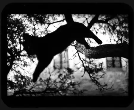 Giacomo Brunelli [фотография]
