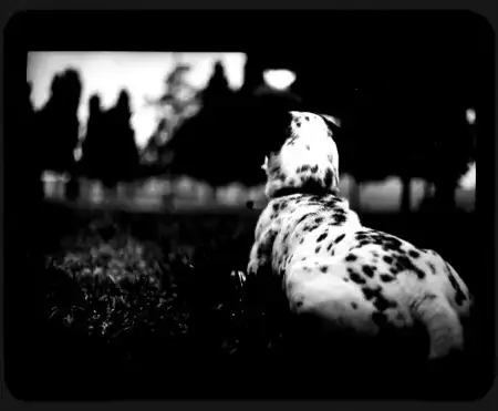 Giacomo Brunelli [фотография]