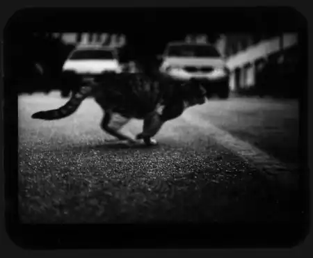 Giacomo Brunelli [фотография]