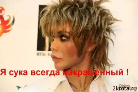 родила царица в ночь не то сына не то дочь