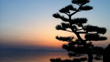 Widescreen Full HD Wallpapers 2