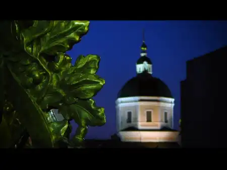 Фотографии