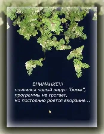 прикольные объявления