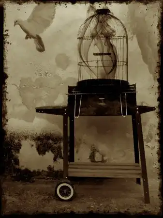 Marko Beslac Photography