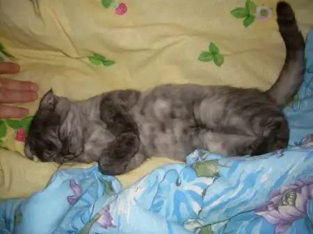 Кнопочке 5 месяцев