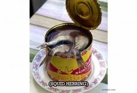Cамые невероятные консервы
