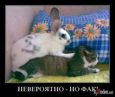 Всего да по маленьку №26(демотиваторы+картинки)