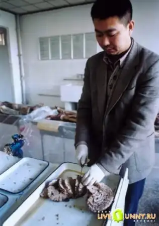Корейский деликатес
