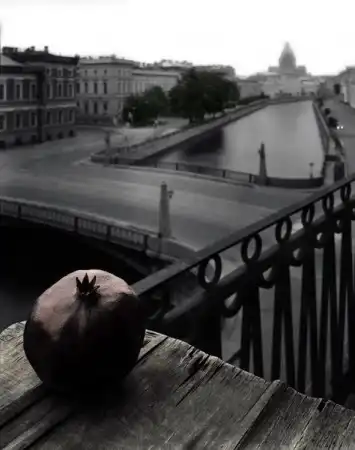 Фотографы/Станислав Чабуткин