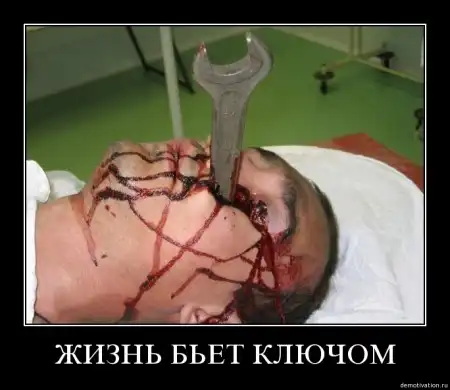 Социальные демотиваторы
