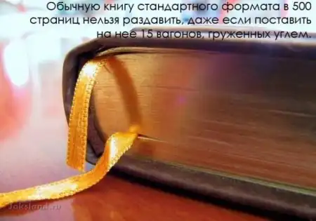 Прикольные факты в картинках
