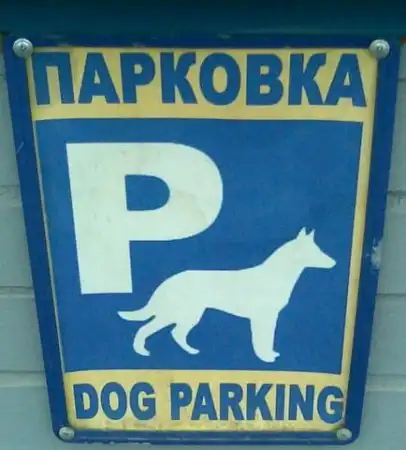 За рулём...)