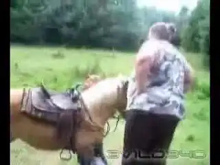 Куда ты лезишь? ) Куда ты лезишь? )