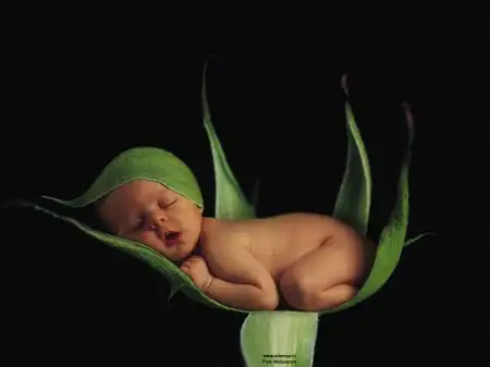 Обои на тему — Самый Настоящий Эксклюзив!