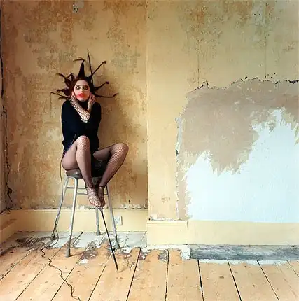 Художник Ione Rucquoi