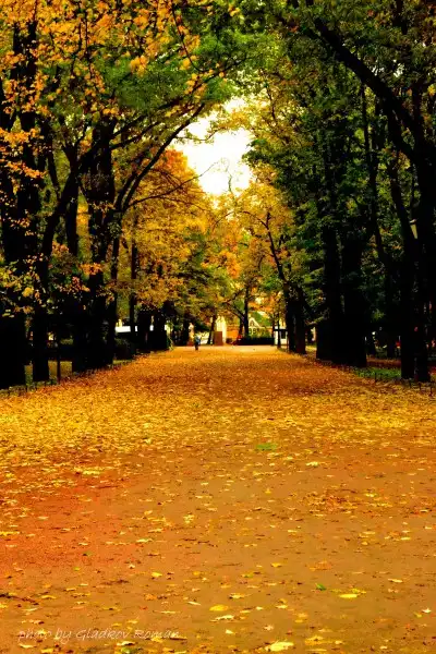 Разное