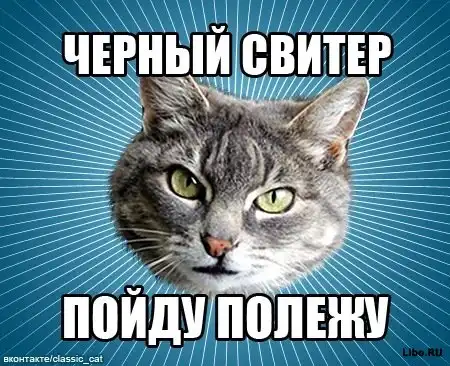 Мем: Типичный Кот Мем: Типичный Кот