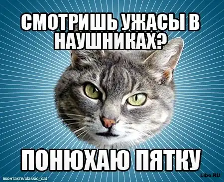 Мем: Типичный Кот Мем: Типичный Кот
