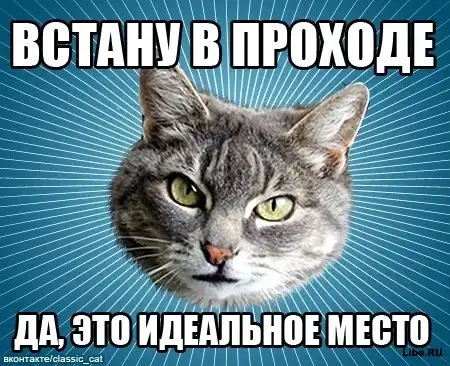 Мем: Типичный Кот Мем: Типичный Кот