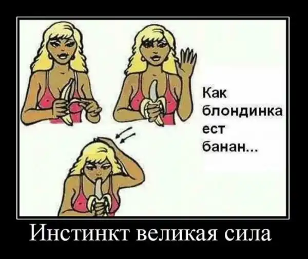 Демотиваторы (25 фото)