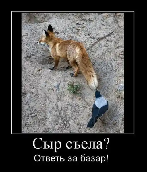 Демотиваторы (25 фото)