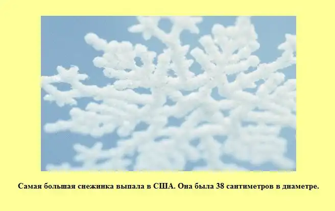 Знаете ли Вы? Знаете ли Вы?