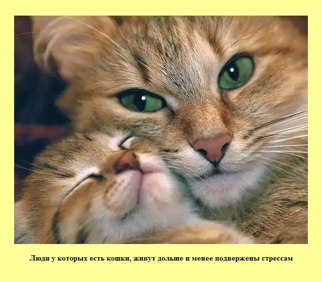 Знаете ли Вы? Знаете ли Вы?