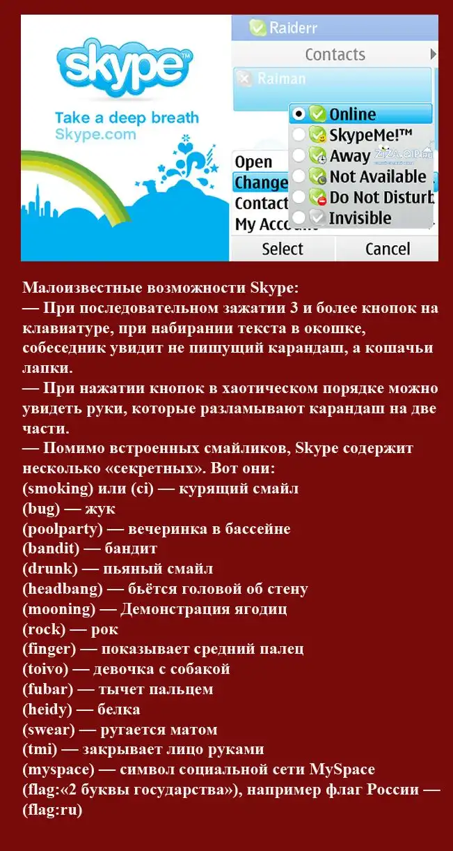 Самые интересные факты о Skype (15 фактов) Самые интересные факты о Skype (15 фактов)