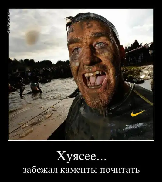 Демотиваторы