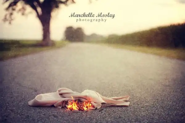 Trash the Dress
