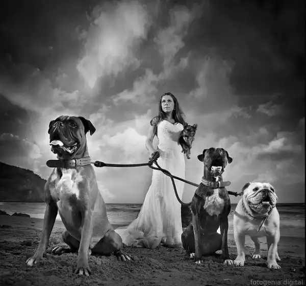 Trash the Dress
