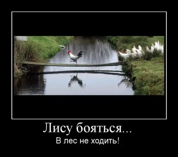 Демотиваторы (30 фото)