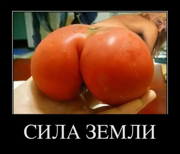 Демотиваторы (30 фото)