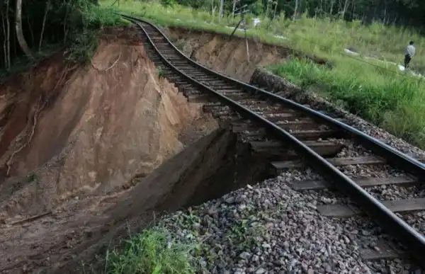 Прикольные картинки (135 фото)