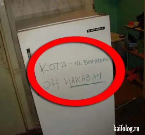 Такой разный холодильник Такой разный холодильник