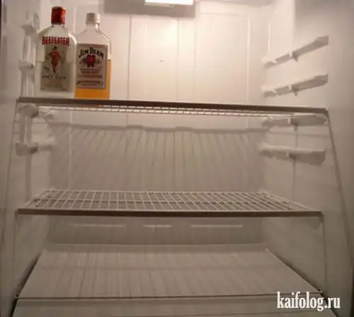 Такой разный холодильник