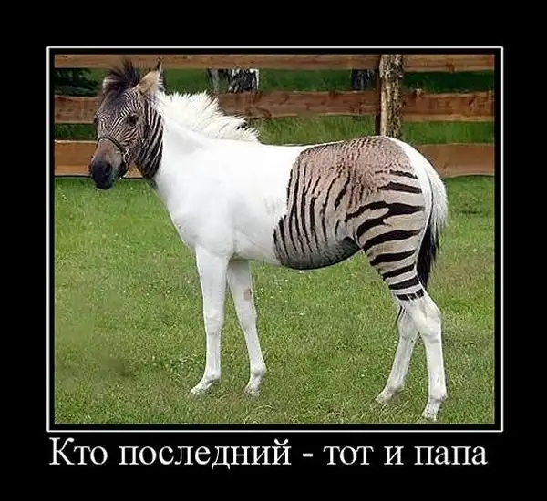 Демотиваторы про это (часть 10)
