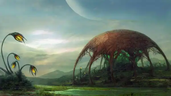 Anime-art! HD+