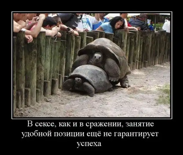 Демотиваторы про это (часть 10)