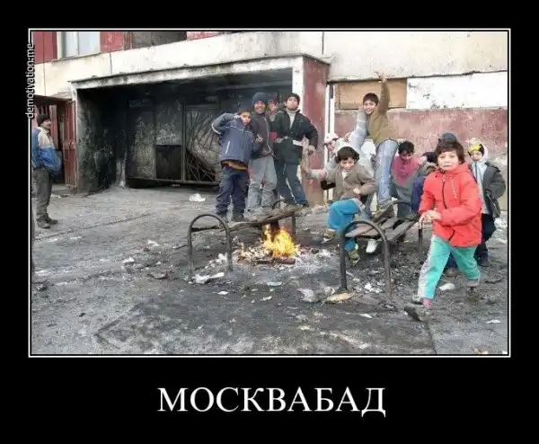 Демотиваторы (3ч)