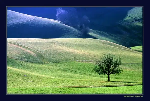 Фотограф Александр Удалов (Швейцария)